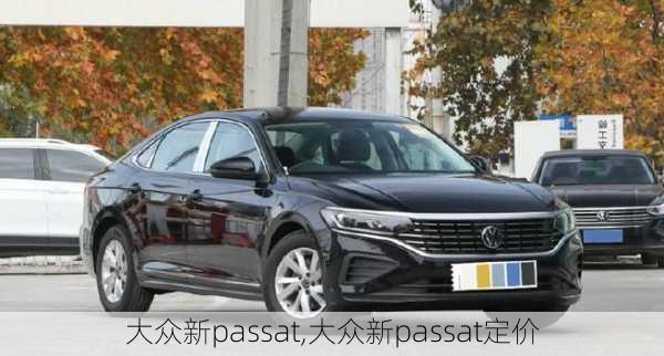 大众新passat,大众新passat定价-第1张图片-立方汽车网