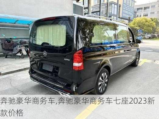 奔驰豪华商务车,奔驰豪华商务车七座2023新款价格-第3张图片-立方汽车网