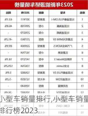 小型车销量排行,小型车销量排行榜2023-第2张图片-立方汽车网