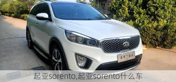 起亚sorento,起亚sorento什么车-第2张图片-立方汽车网