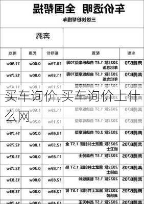 买车询价,买车询价上什么网-第1张图片-立方汽车网