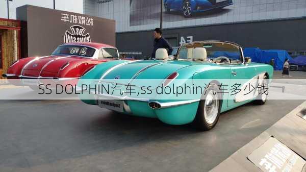 SS DOLPHIN汽车,ss dolphin汽车多少钱-第1张图片-立方汽车网