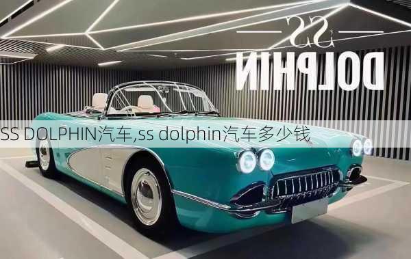 SS DOLPHIN汽车,ss dolphin汽车多少钱-第3张图片-立方汽车网