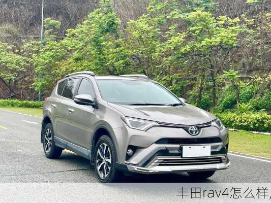 丰田rav4怎么样,-第2张图片-立方汽车网