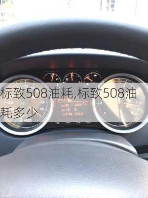 标致508油耗,标致508油耗多少-第1张图片-立方汽车网