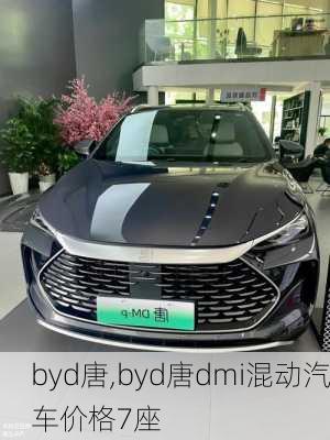 byd唐,byd唐dmi混动汽车价格7座-第1张图片-立方汽车网