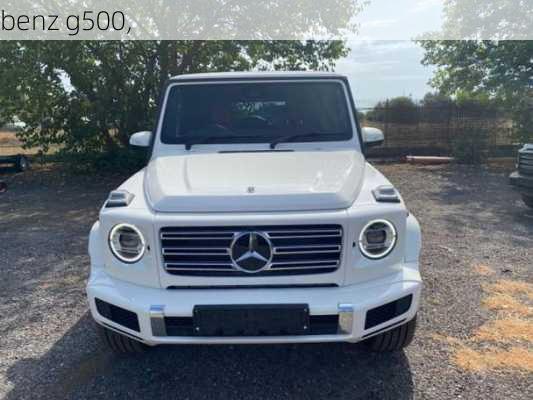 benz g500,-第3张图片-立方汽车网