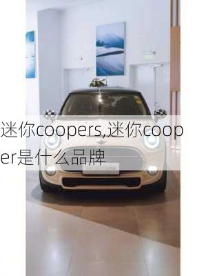 迷你coopers,迷你cooper是什么品牌-第2张图片-立方汽车网