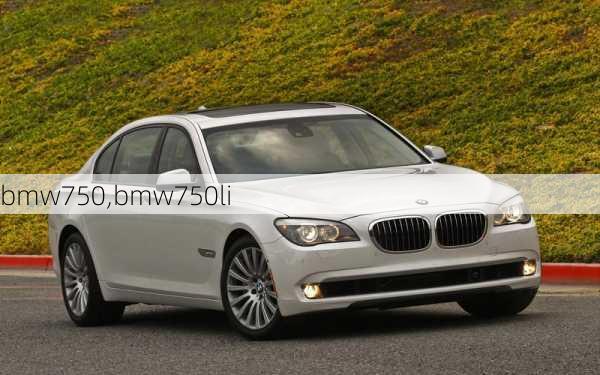 bmw750,bmw750li-第2张图片-立方汽车网