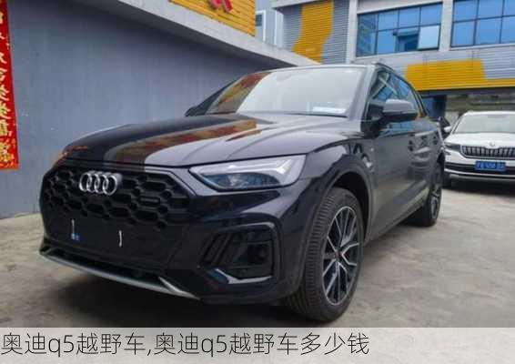 奥迪q5越野车,奥迪q5越野车多少钱-第3张图片-立方汽车网