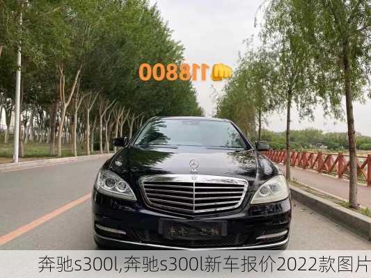 奔驰s300l,奔驰s300l新车报价2022款图片-第1张图片-立方汽车网