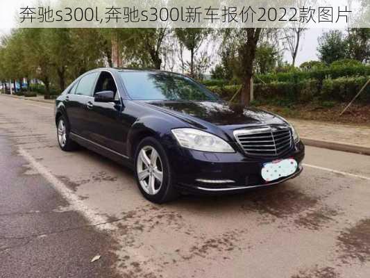 奔驰s300l,奔驰s300l新车报价2022款图片-第2张图片-立方汽车网