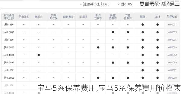 宝马5系保养费用,宝马5系保养费用价格表-第2张图片-立方汽车网