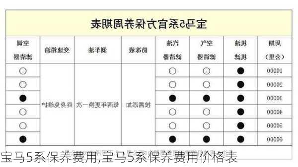 宝马5系保养费用,宝马5系保养费用价格表-第1张图片-立方汽车网