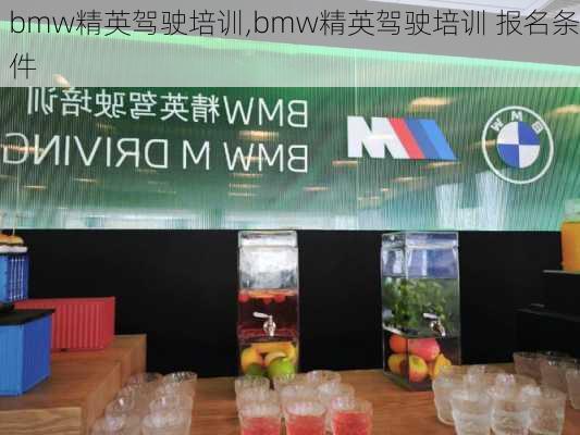 bmw精英驾驶培训,bmw精英驾驶培训 报名条件-第1张图片-立方汽车网