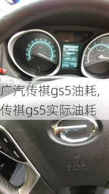 广汽传祺gs5油耗,传祺gs5实际油耗-第3张图片-立方汽车网