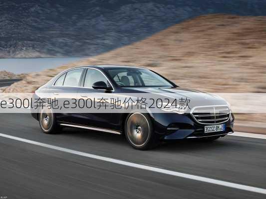 e300l奔驰,e300l奔驰价格2024款-第3张图片-立方汽车网