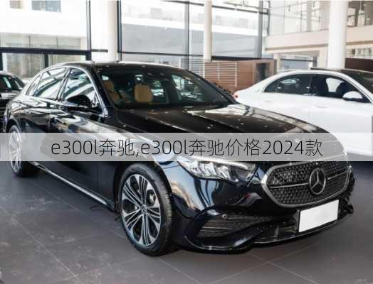 e300l奔驰,e300l奔驰价格2024款