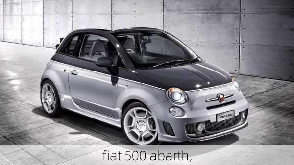 fiat 500 abarth,-第1张图片-立方汽车网