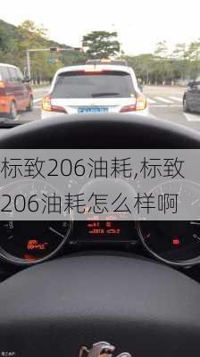 标致206油耗,标致206油耗怎么样啊-第1张图片-立方汽车网