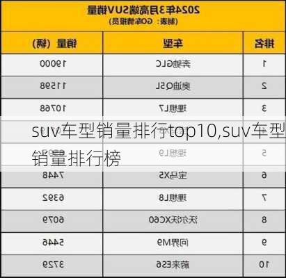 suv车型销量排行top10,suv车型销量排行榜-第2张图片-立方汽车网