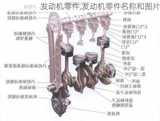 发动机零件,发动机零件名称和图片-第2张图片-立方汽车网