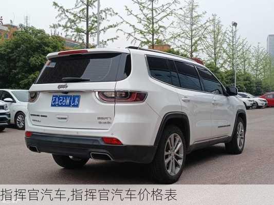 指挥官汽车,指挥官汽车价格表-第3张图片-立方汽车网