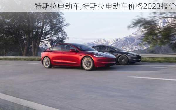 特斯拉电动车,特斯拉电动车价格2023报价-第3张图片-立方汽车网