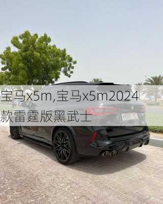 宝马x5m,宝马x5m2024款雷霆版黑武士-第3张图片-立方汽车网