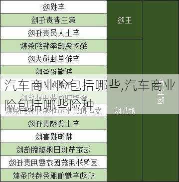 汽车商业险包括哪些,汽车商业险包括哪些险种-第1张图片-立方汽车网