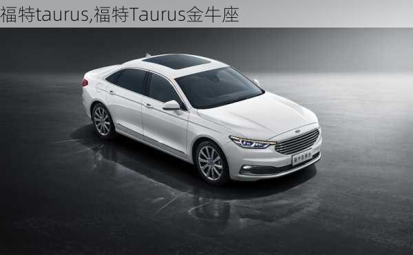 福特taurus,福特Taurus金牛座-第2张图片-立方汽车网