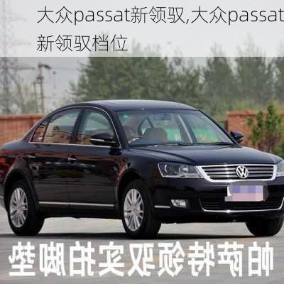 大众passat新领驭,大众passat新领驭档位-第2张图片-立方汽车网