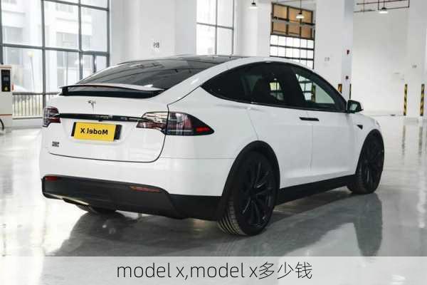 model x,model x多少钱-第2张图片-立方汽车网