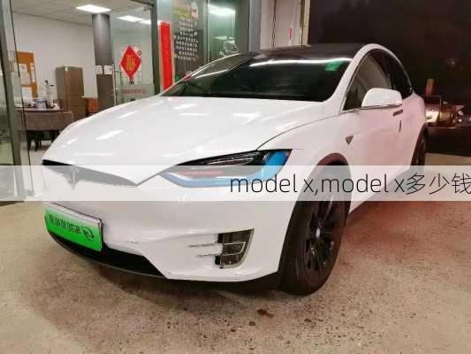 model x,model x多少钱-第3张图片-立方汽车网