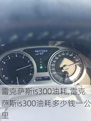 雷克萨斯is300油耗,雷克萨斯is300油耗多少钱一公里-第1张图片-立方汽车网