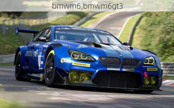 bmwm6,bmwm6gt3-第2张图片-立方汽车网