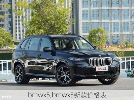 bmwx5,bmwx5新款价格表-第2张图片-立方汽车网