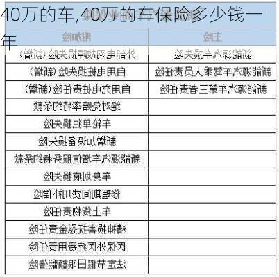 40万的车,40万的车保险多少钱一年-第1张图片-立方汽车网