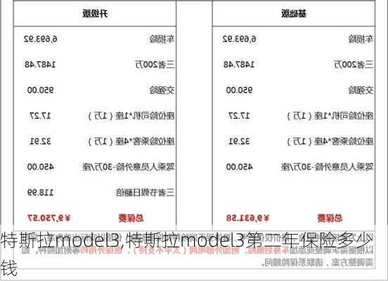 特斯拉model3,特斯拉model3第二年保险多少钱