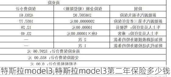 特斯拉model3,特斯拉model3第二年保险多少钱-第2张图片-立方汽车网