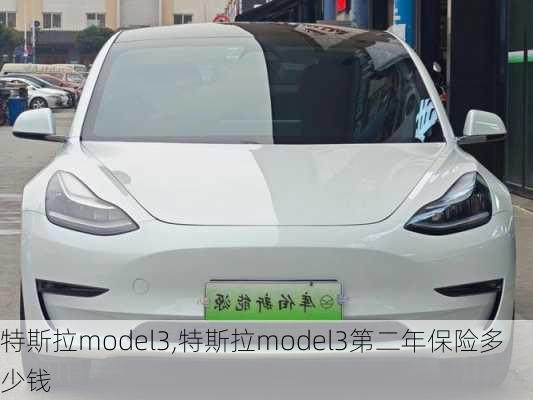 特斯拉model3,特斯拉model3第二年保险多少钱-第3张图片-立方汽车网