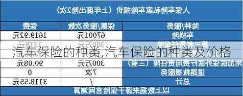 汽车保险的种类,汽车保险的种类及价格-第3张图片-立方汽车网