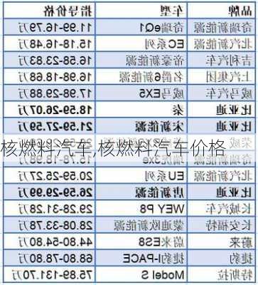 核燃料汽车,核燃料汽车价格-第2张图片-立方汽车网