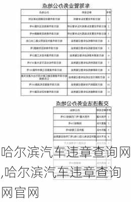 哈尔滨汽车违章查询网,哈尔滨汽车违章查询网官网-第3张图片-立方汽车网