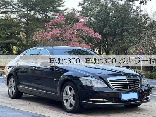 奔驰s300l,奔驰s300l多少钱一辆-第2张图片-立方汽车网