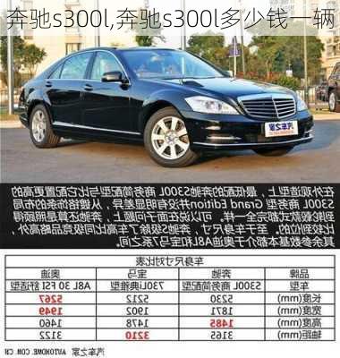 奔驰s300l,奔驰s300l多少钱一辆-第1张图片-立方汽车网