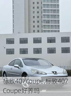 标致407coupe,标致407Coupe好养吗-第3张图片-立方汽车网