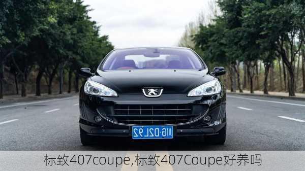 标致407coupe,标致407Coupe好养吗-第1张图片-立方汽车网