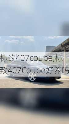 标致407coupe,标致407Coupe好养吗-第2张图片-立方汽车网