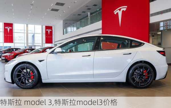 特斯拉 model 3,特斯拉model3价格-第3张图片-立方汽车网